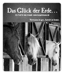 Anwalt für Verkejrsrecht in Augsburg